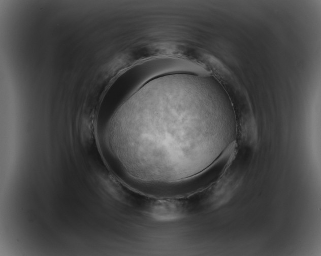 X0000087740376200705071058