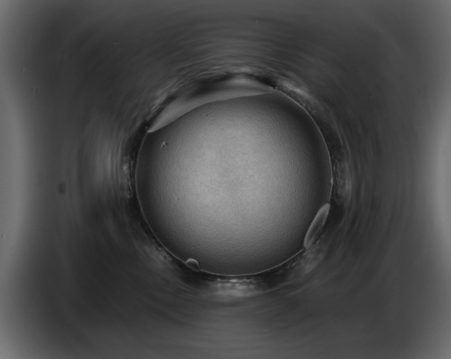 X0000087740378200705071058