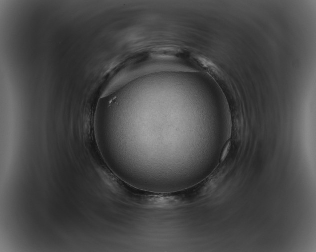 X0000087740379200705071058