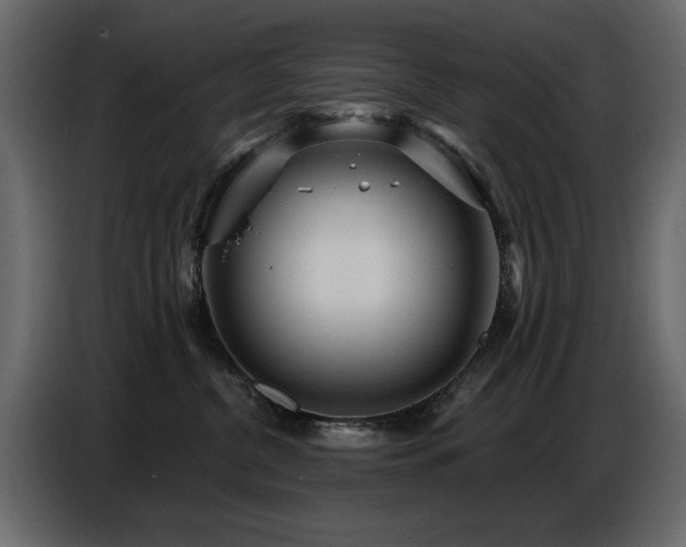 X0000087740380200705071058