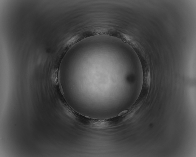 X0000087740383200705071058