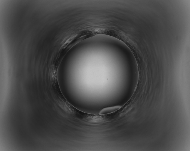 X0000087740384200705071058