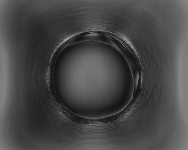 X0000087740387200705071057