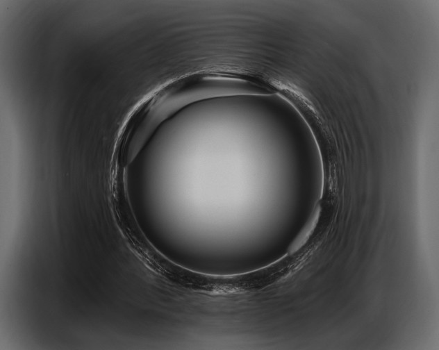 X0000087740388200705071057