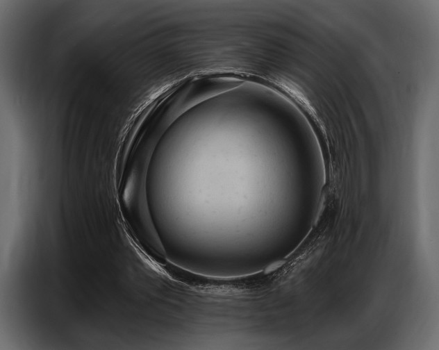 X0000087740389200705071057