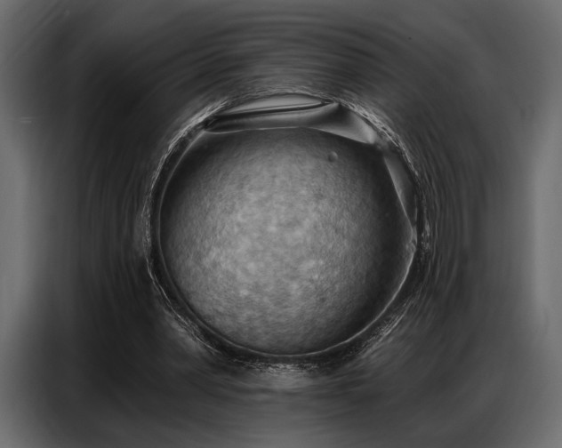 X0000087740390200705071057