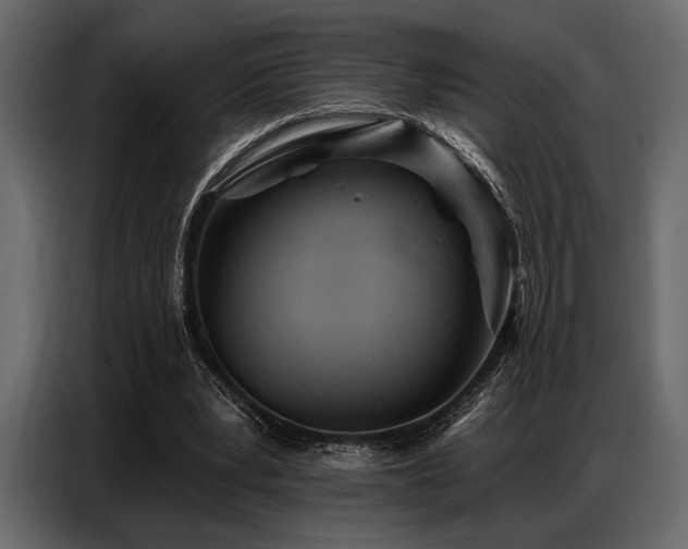 X0000087740391200705071057