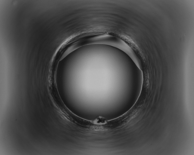 X0000087740392200705071057