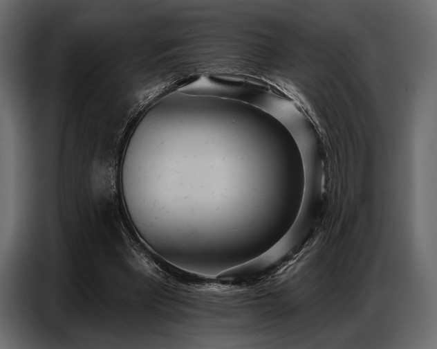 X0000087740393200705071057