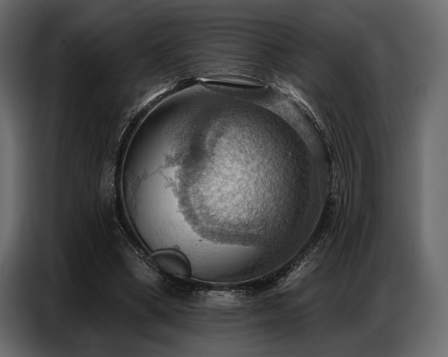 X0000087740394200705071057