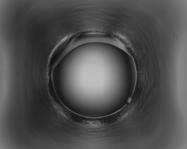 X0000087740395200705071057