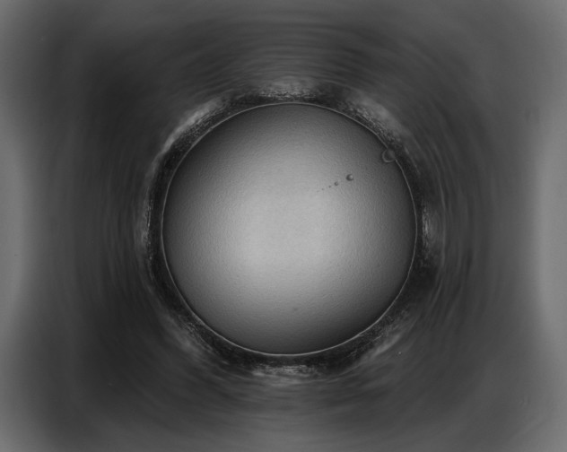 X0000087740396200705071057
