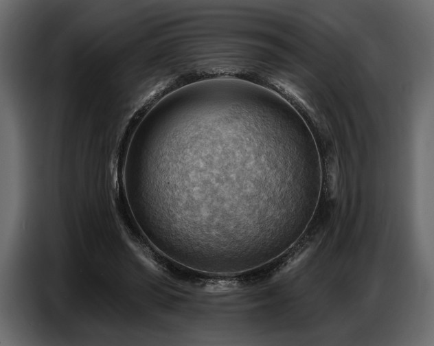 X0000087740398200705071057