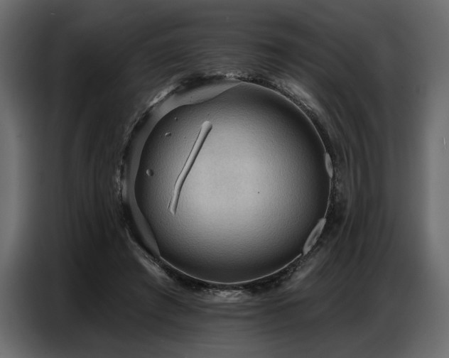 X0000087740401200705071057