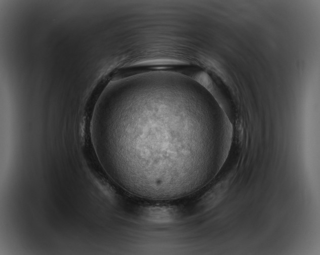 X0000087740404200705071057