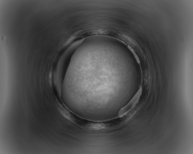 X0000087740409200705071057