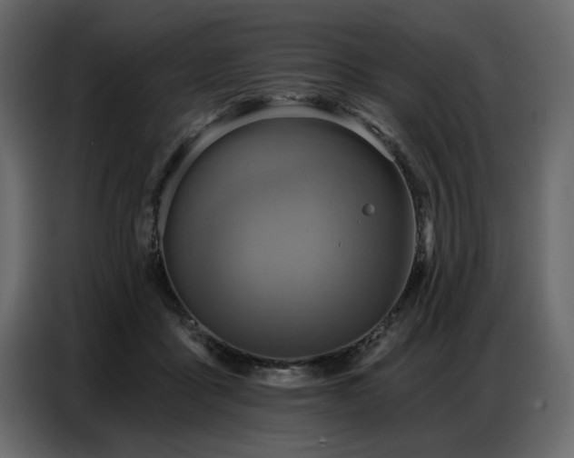 X0000087740411200705071057