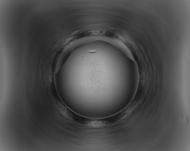 X0000087740413200705071057