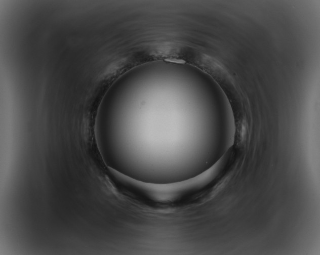 X0000087740416200705071057