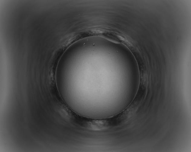 X0000087740418200705071057
