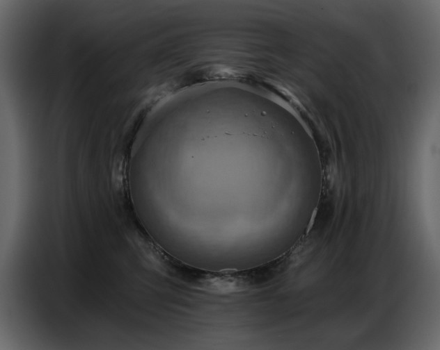 X0000087740423200705071056
