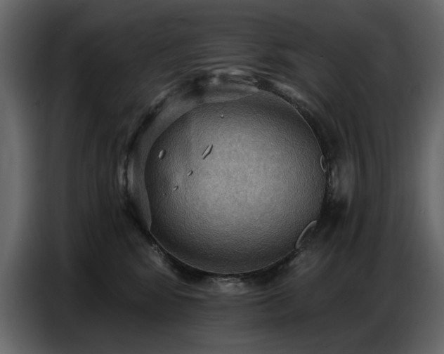 X0000087740424200705071056