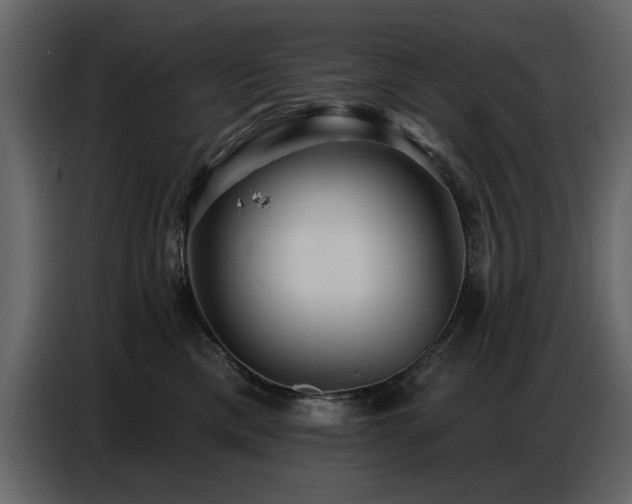 X0000087740425200705071056