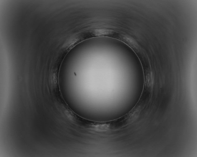 X0000087740426200705071056