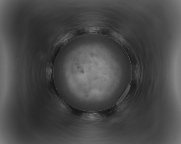 X0000087740427200705071056