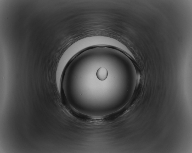 X0000087740428200705071056