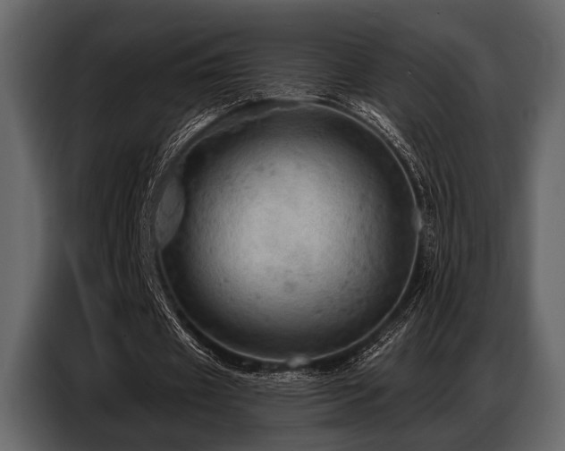 X0000087740433200705071056