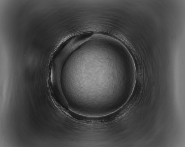 X0000087740434200705071056