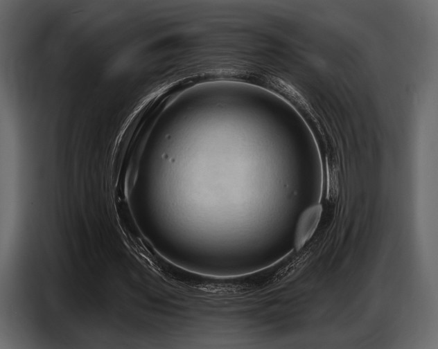 X0000087740435200705071056