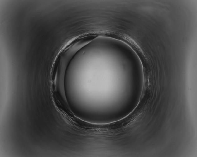 X0000087740436200705071056