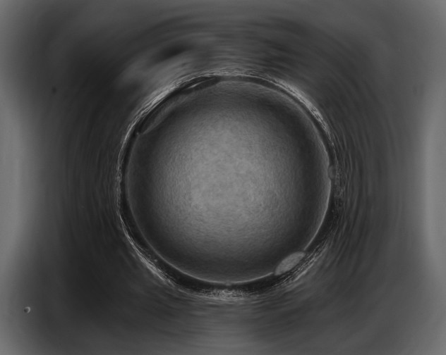 X0000087740437200705071056