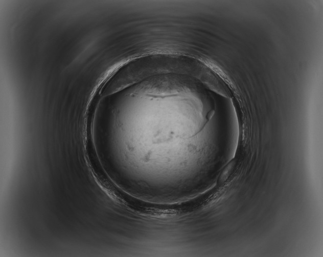 X0000087740438200705071056