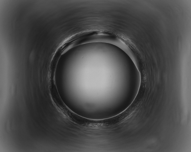 X0000087740440200705071056