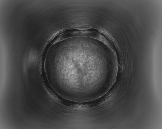 X0000087740442200705071056