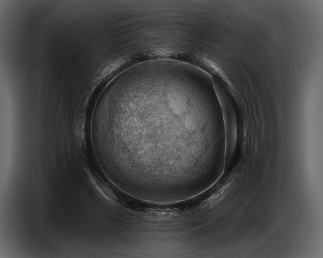 X0000087740443200705071056