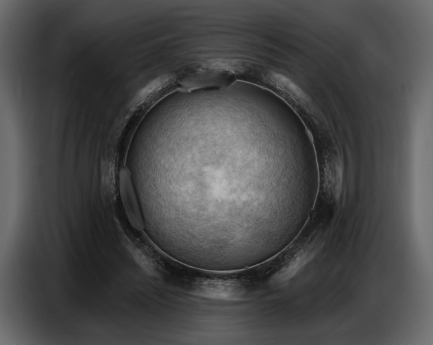 X0000087740444200705071056