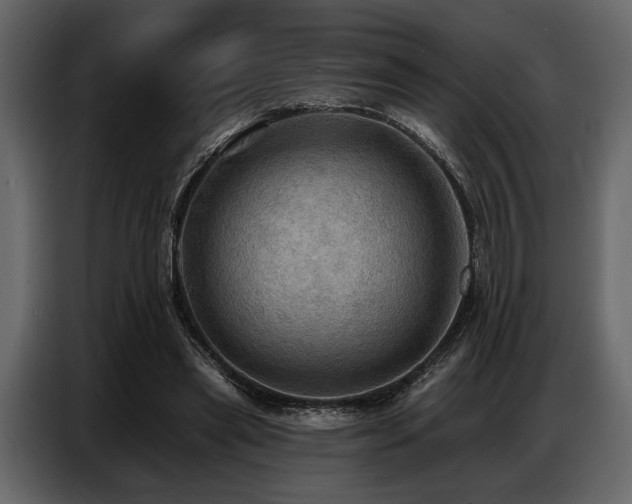 X0000087740445200705071056