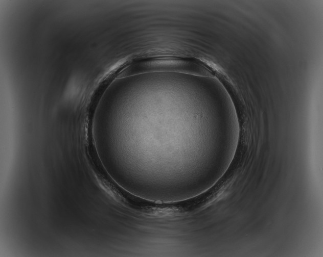 X0000087740446200705071056