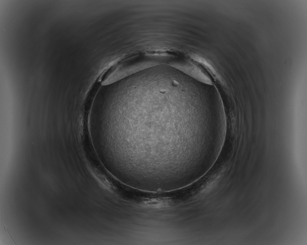X0000087740447200705071056