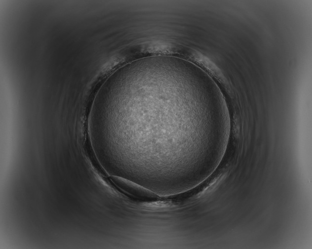 X0000087740449200705071056