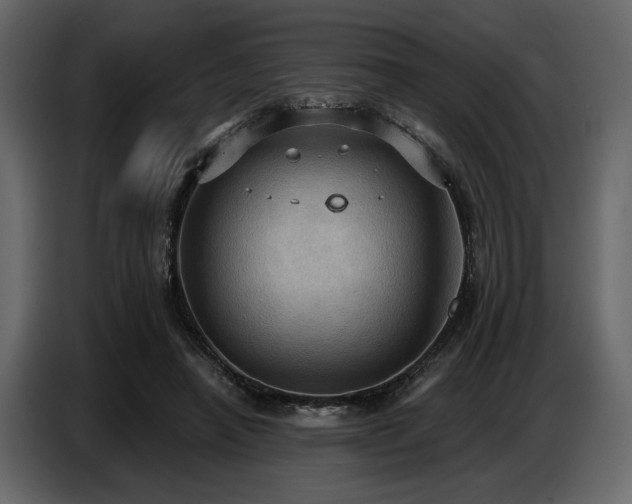 X0000087740450200705071056