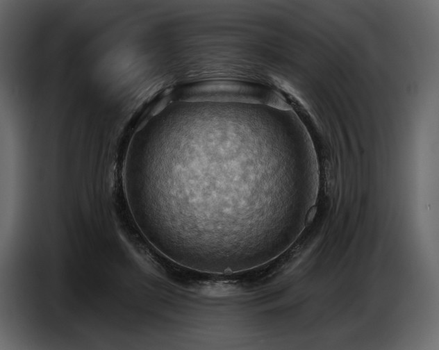 X0000087740451200705071056