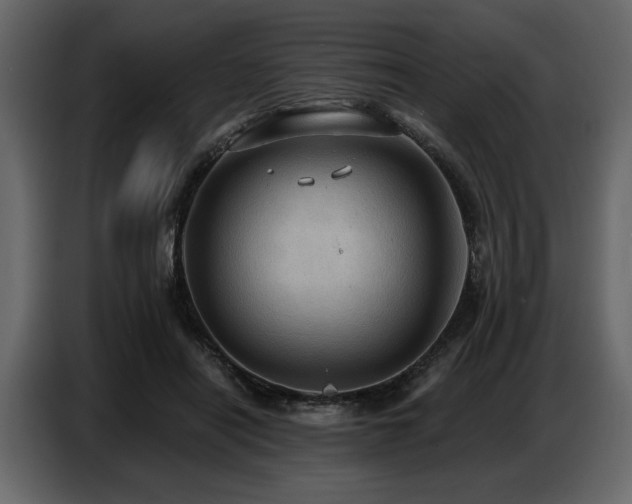 X0000087740454200705071056