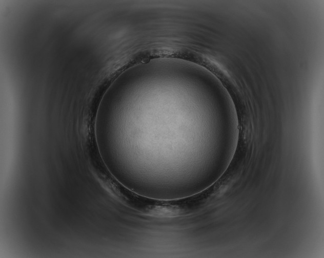 X0000087740455200705071056