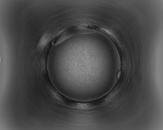 X0000087740457200705071056