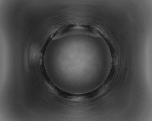 X0000087740458200705071056